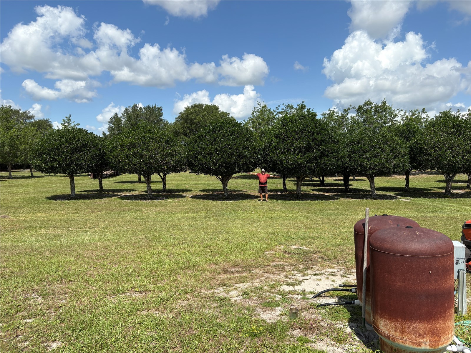1238 S Us 301 Sumterville FL 33585 G5114698 image19