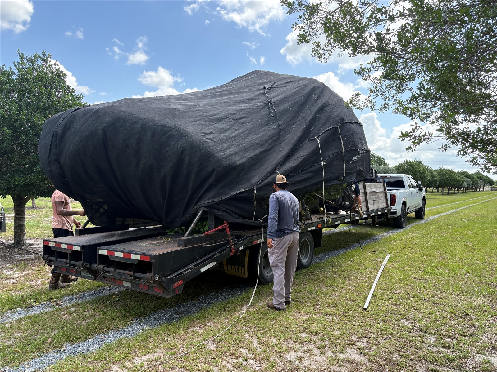 1238 S Us 301 Sumterville FL 33585 G5114698 image2