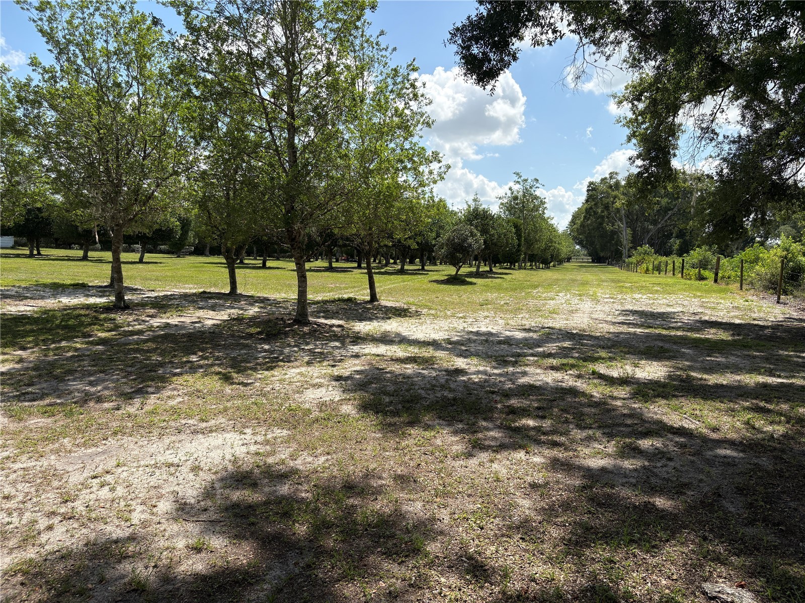 1238 S Us 301 Sumterville FL 33585 G5114698 image21