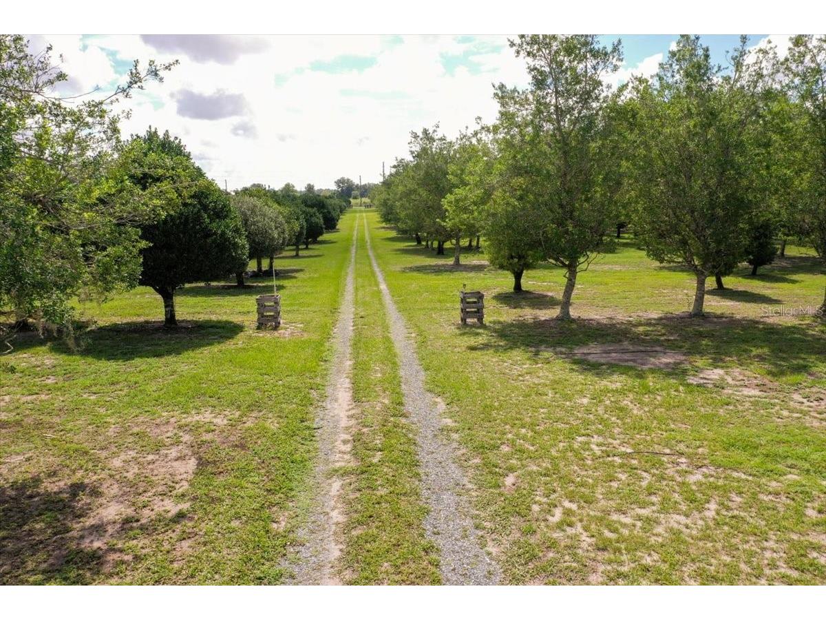 1238 S Us 301 Sumterville FL 33585 G5114698 image27
