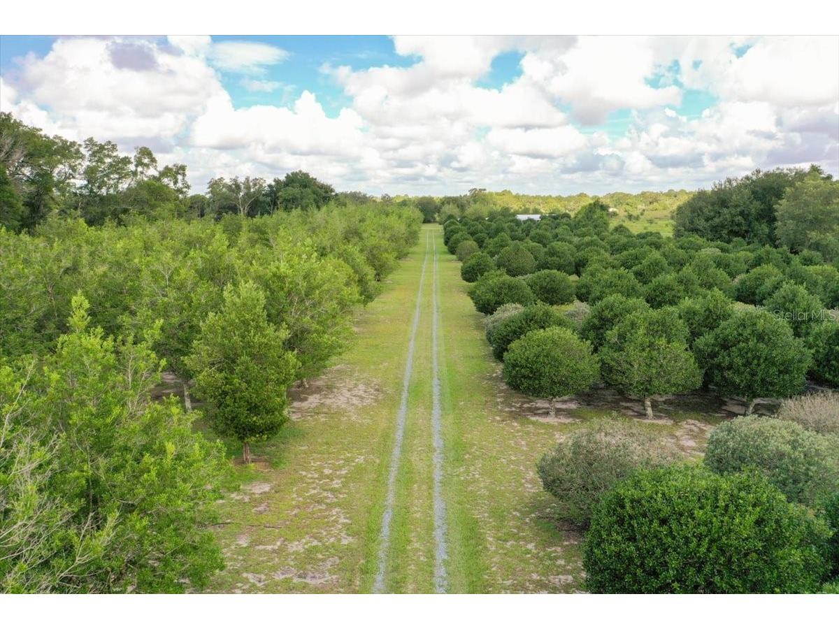 1238 S Us 301 Sumterville FL 33585 G5114698 image31