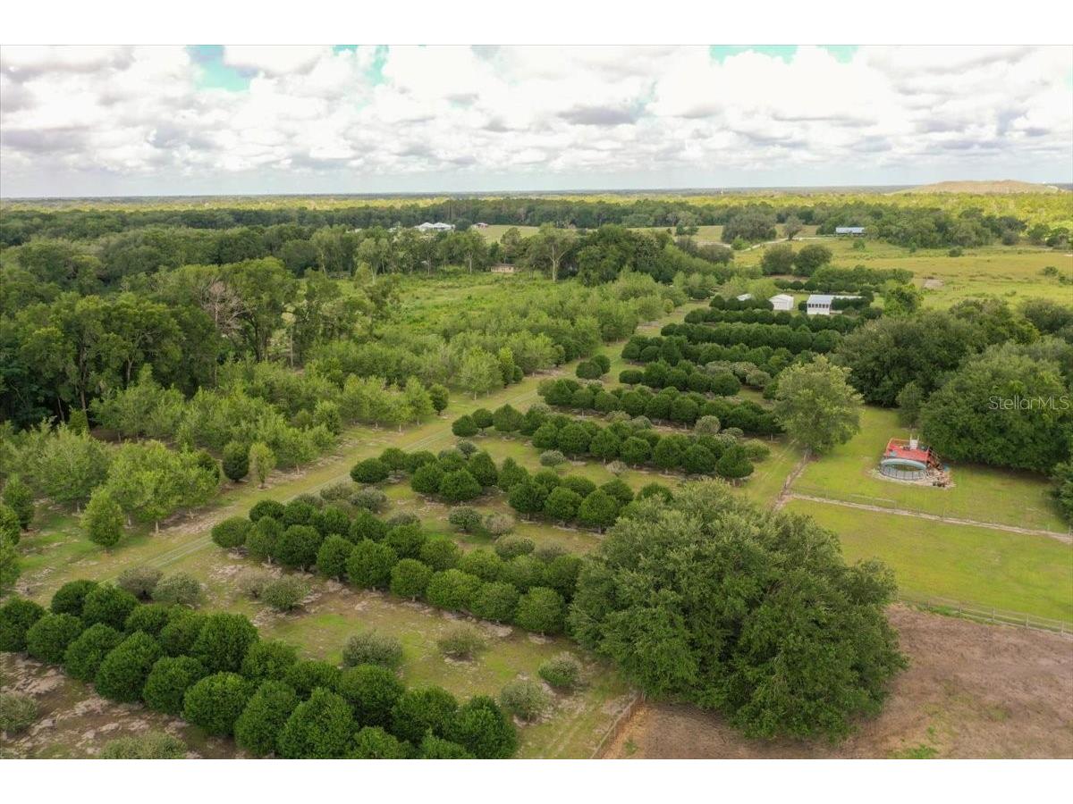 1238 S Us 301 Sumterville FL 33585 G5114698 image32