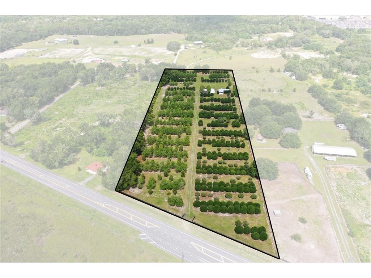 1238 S Us 301 Sumterville FL 33585 G5114698 image34