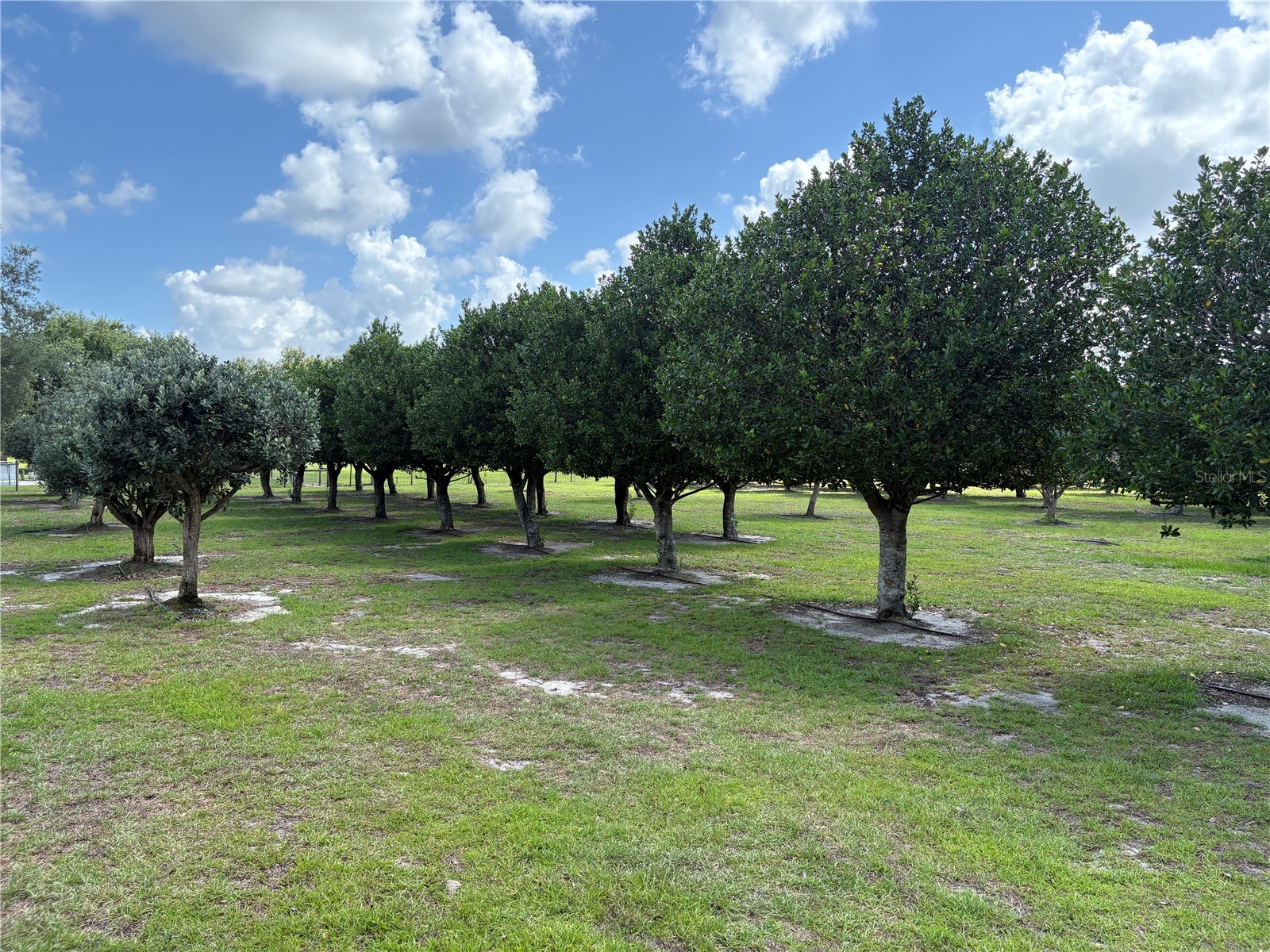 1238 S Us 301 Sumterville FL 33585 G5114698 image5