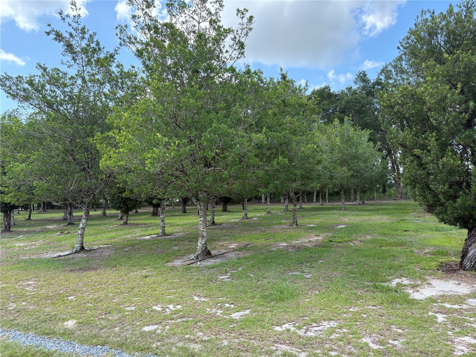 1238 S Us 301 Sumterville FL 33585 G5114698 image6
