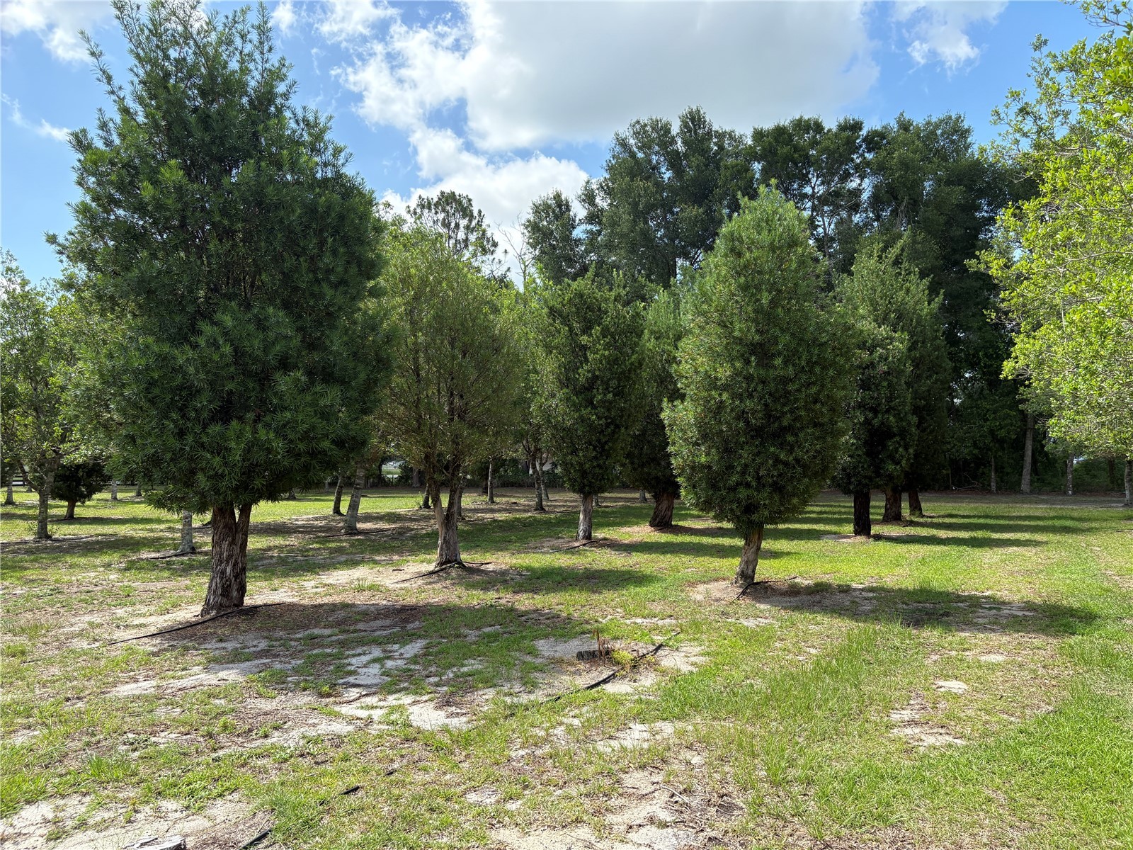 1238 S Us 301 Sumterville FL 33585 G5114698 image7