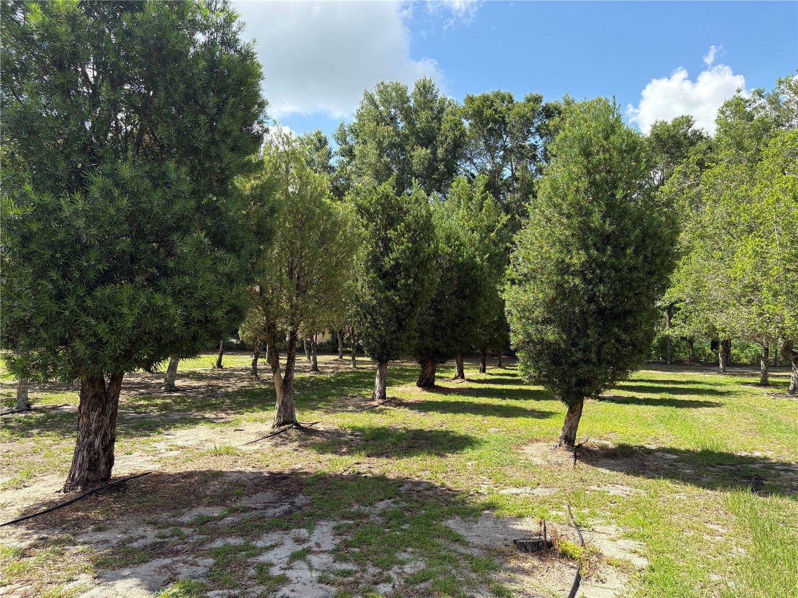 1238 S Us 301 Sumterville FL 33585 G5114698 image8