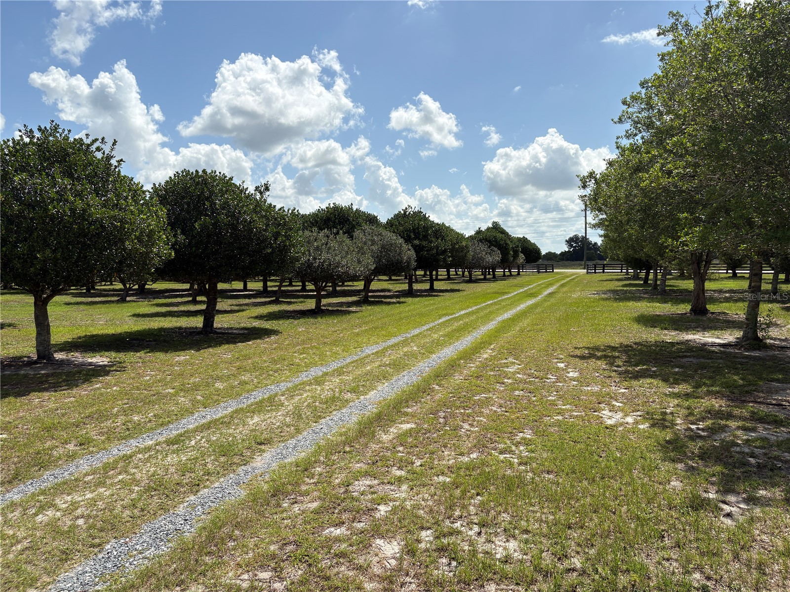 1238 S Us 301 Sumterville FL 33585 G5114698 image9