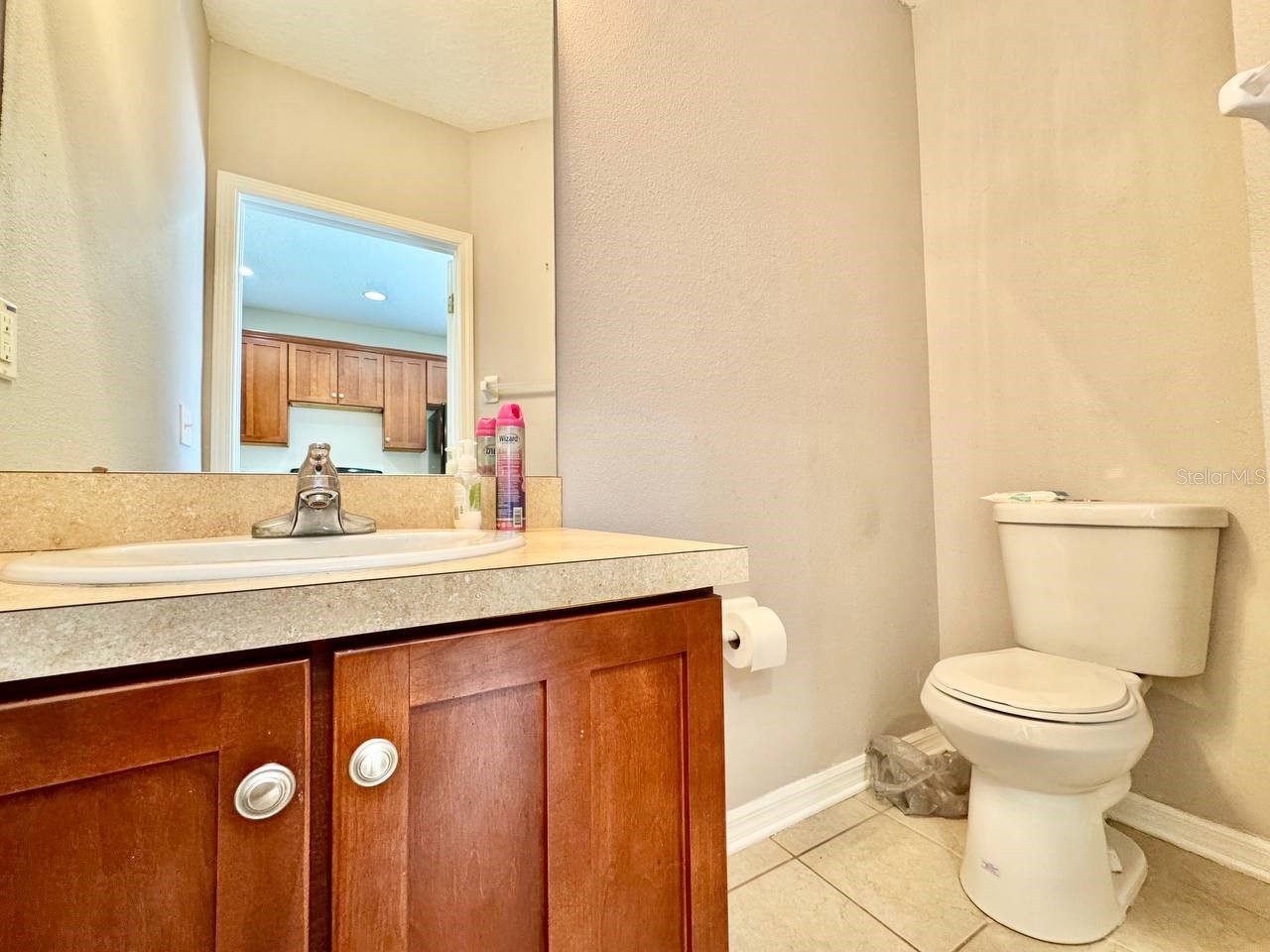 12381 Foxmoor Peak Drive Riverview FL 33579 TB8526579 image14