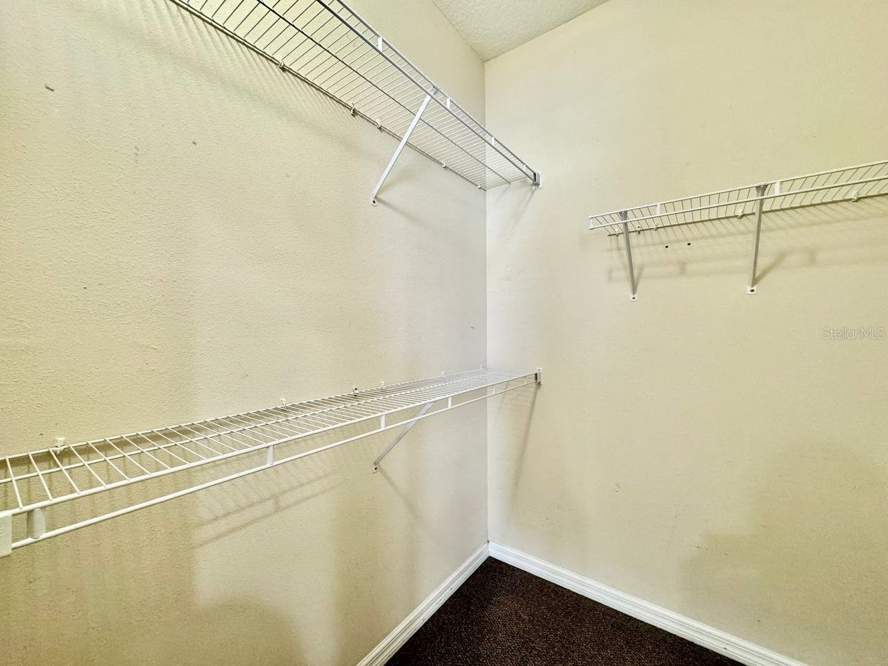 12381 Foxmoor Peak Drive Riverview FL 33579 TB8526579 image18