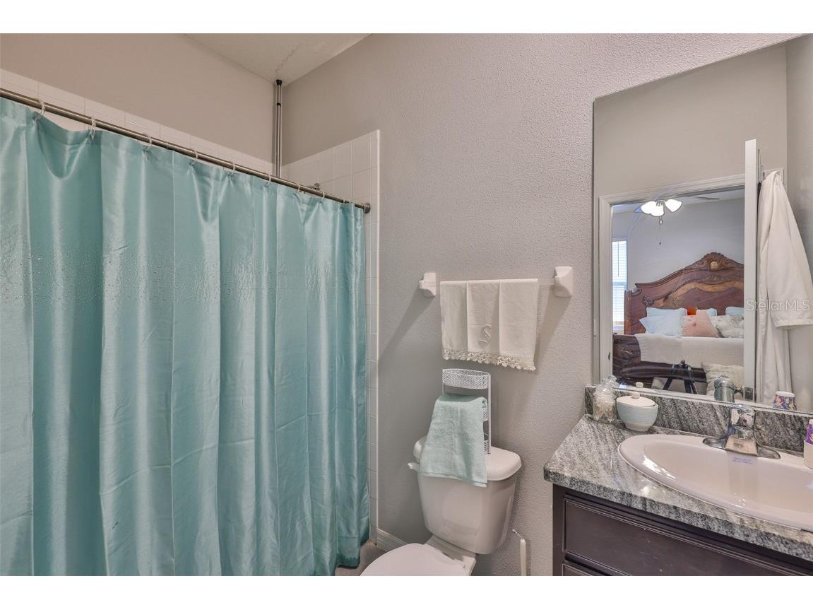 12382 Shining Willow Street Riverview FL 33579 TB8393734 image39