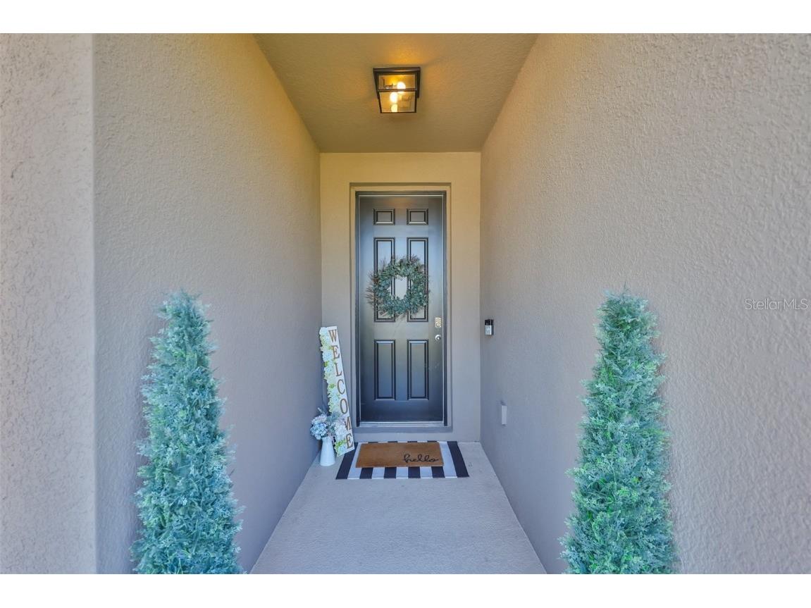 12382 Shining Willow Street Riverview FL 33579 TB8393734 image4