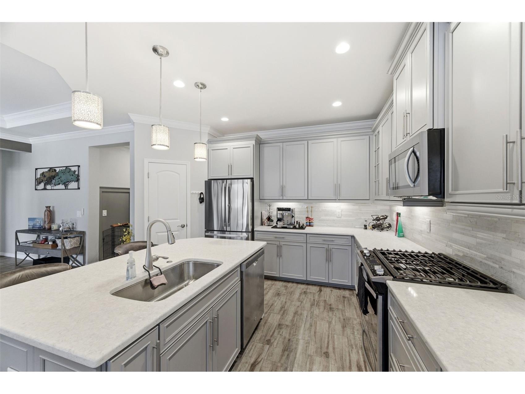 12383 Fitzroy Street Odessa FL 33556 W7883696 image12