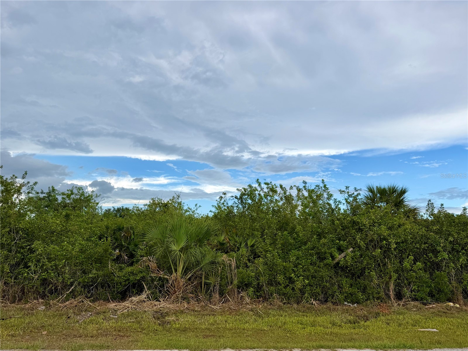 12384 Oakner Street Port Charlotte FL 33981 D6147585 image2