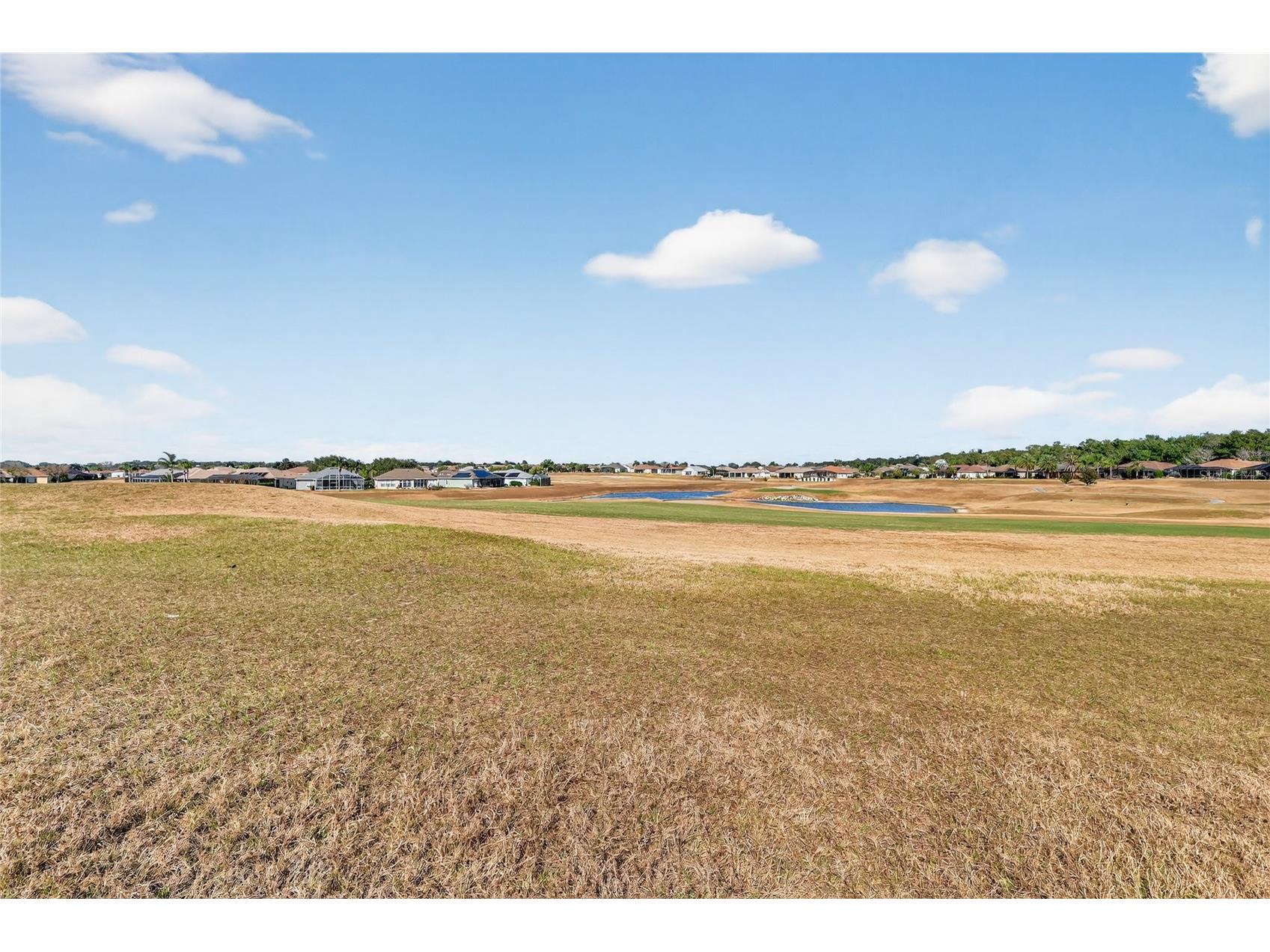 12384 SE 176th Loop Summerfield FL 34491 OM715851 image8