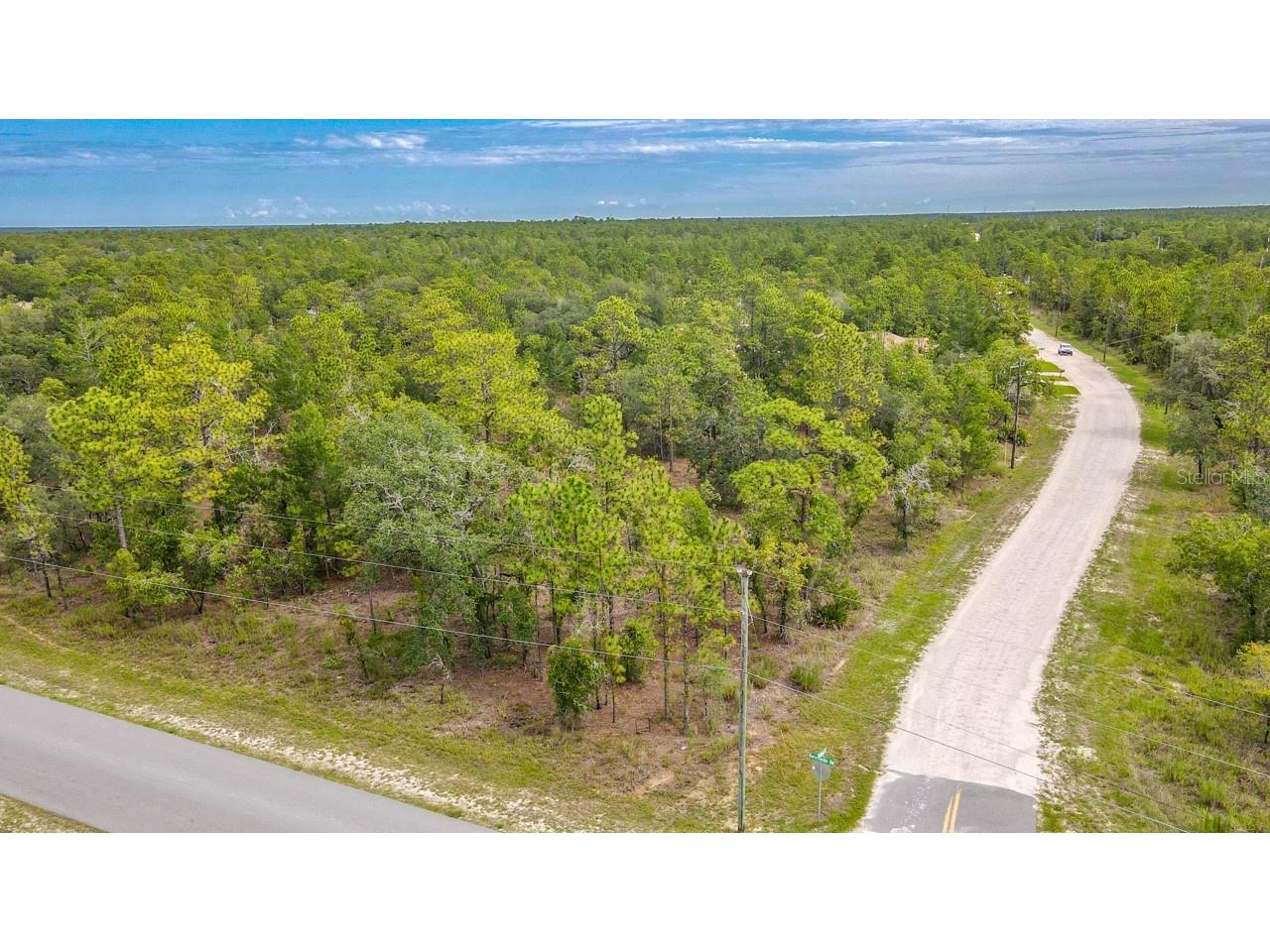 12385 Barnevelde Road Weeki Wachee FL 34614 T3534258 image1