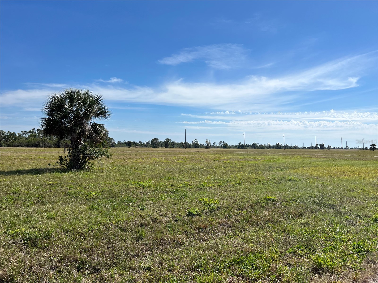 12386 Greenling Way Placida FL 33946 TB8480351 image5