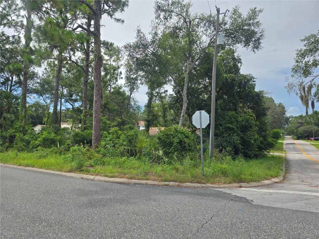 1239 Amherst Terrace Inverness FL 34452 OM706901 image1