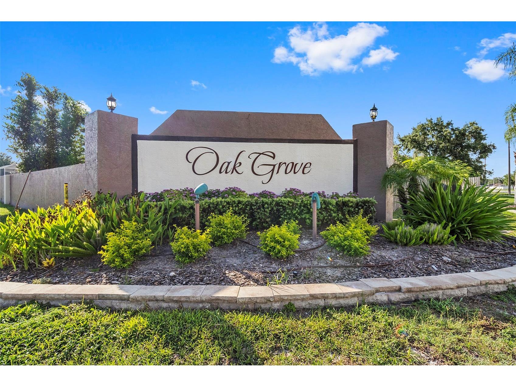1239 Avonwood Court Lutz FL 33559 TB8521624 image28