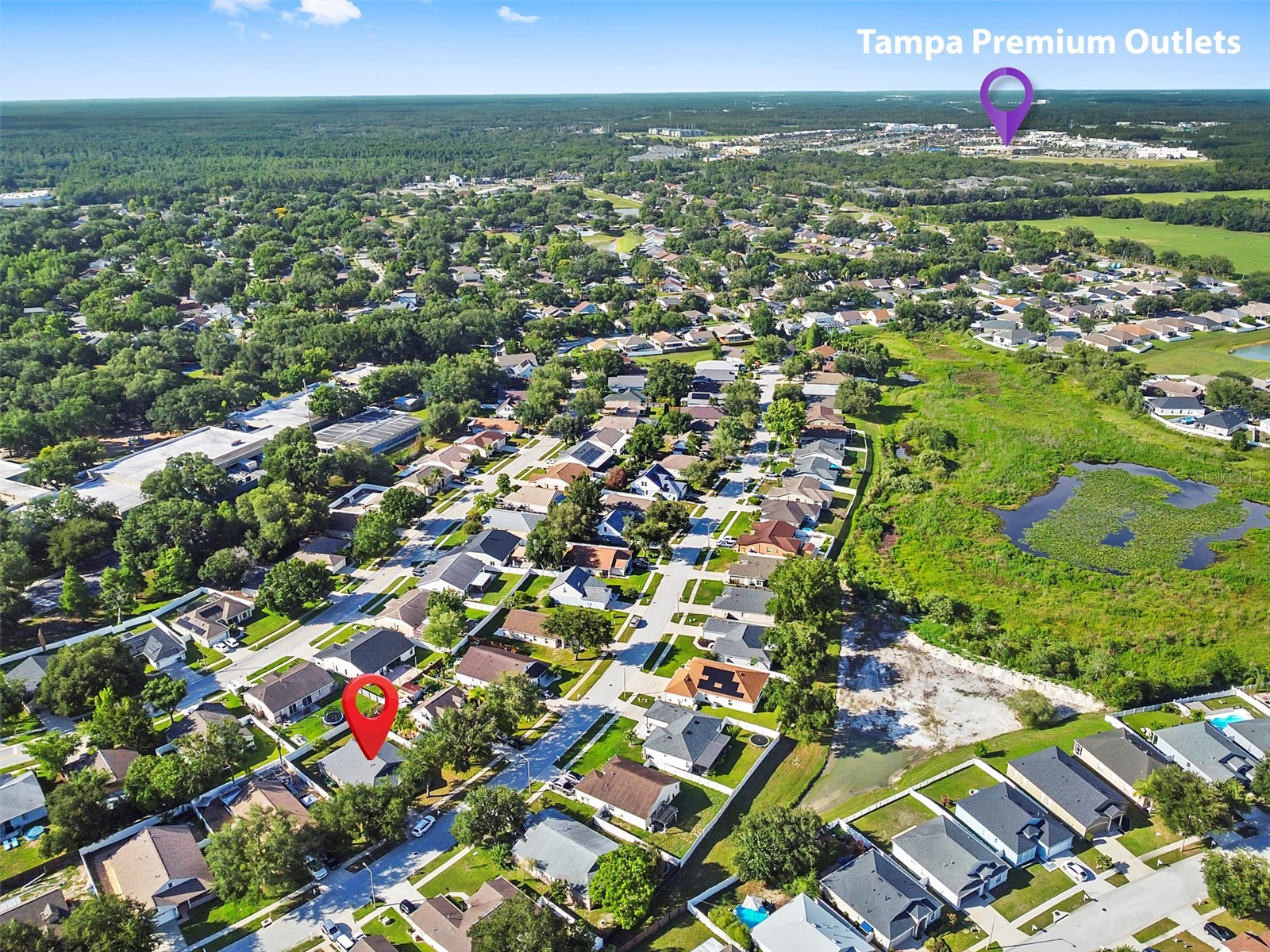 1239 Avonwood Court Lutz FL 33559 TB8521624 image3