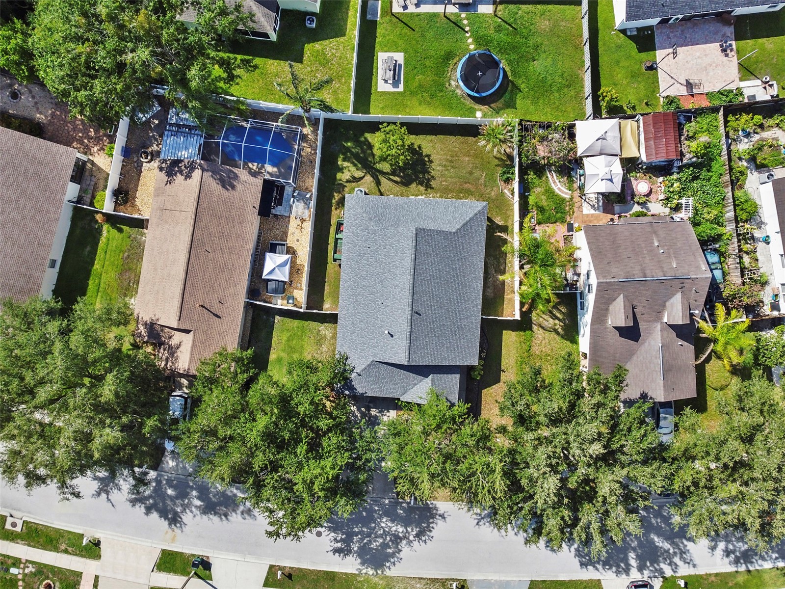 1239 Avonwood Court Lutz FL 33559 TB8521624 image30