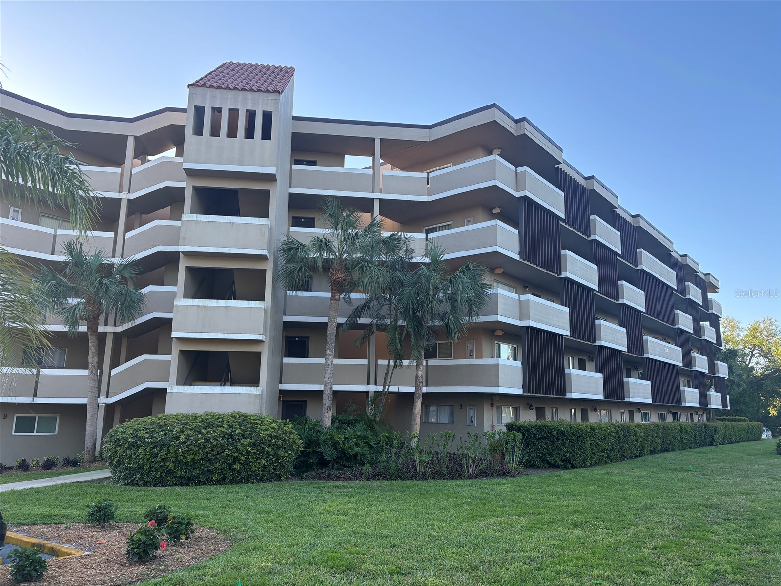 1239 S Martin Luther King Jr Avenue #103 Clearwater FL 33756 TB8492109 image1