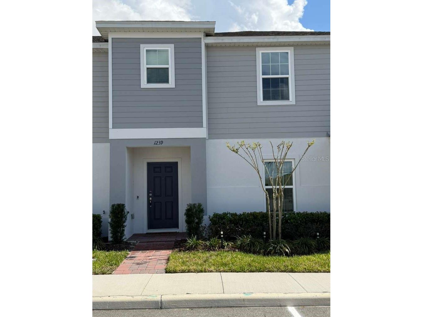 1239 Sand Torch Circle Davenport FL 33837 S5143700 image2