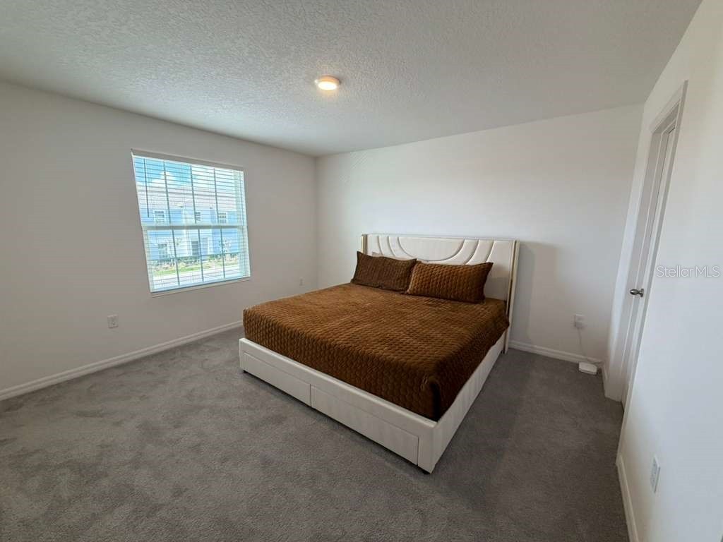 1239 Sand Torch Circle Davenport FL 33837 S5143700 image44