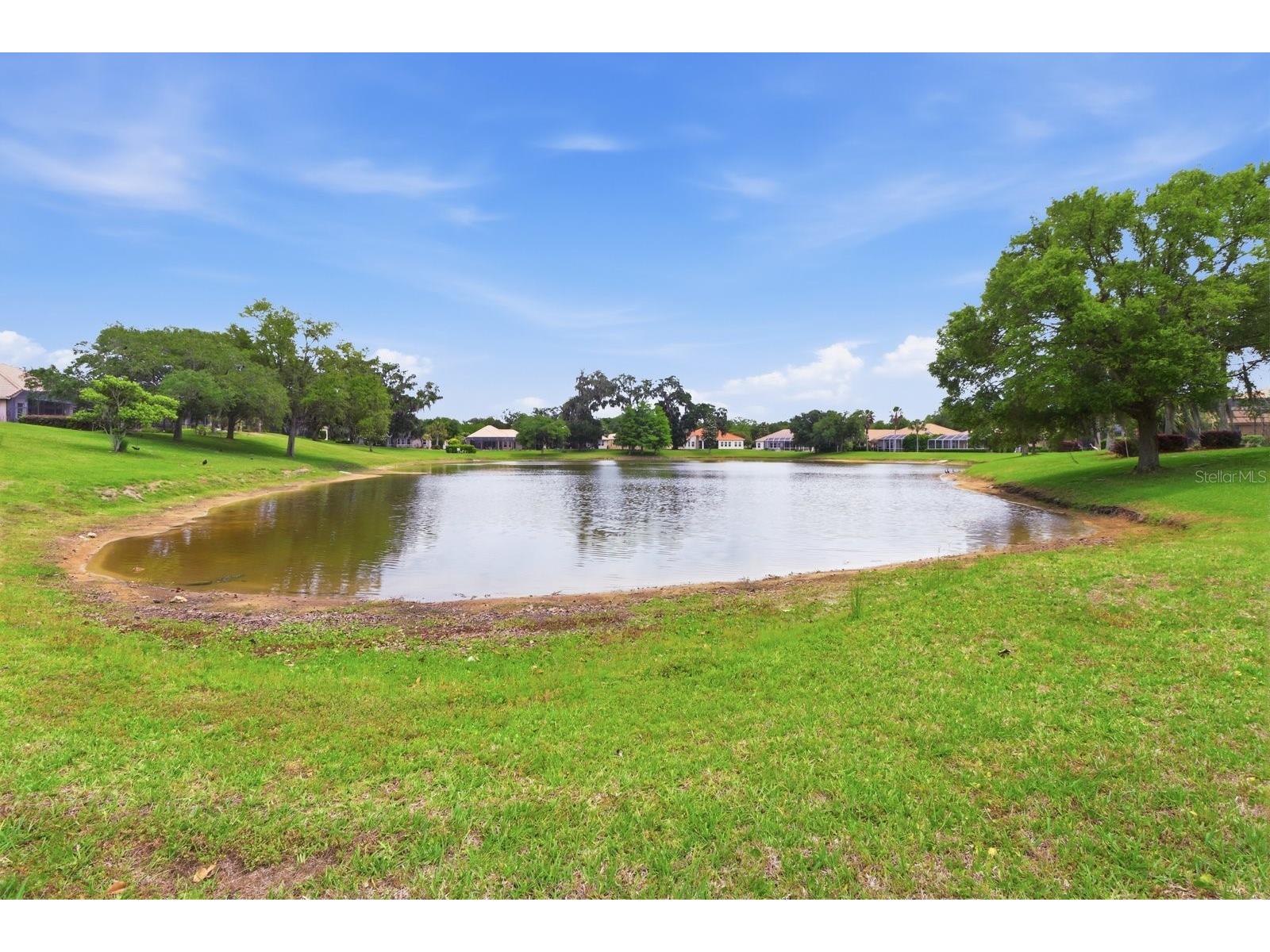 1239 W Beagle Run Loop Hernando FL 34442 TB8502369 image9