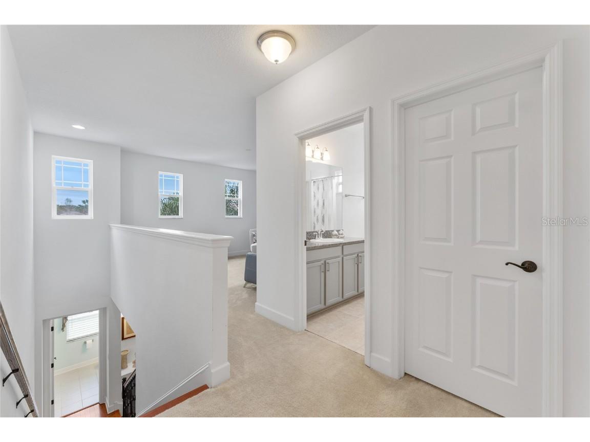 1239 Windy Bay Shoal Tarpon Springs FL 34689 TB8441239 image27