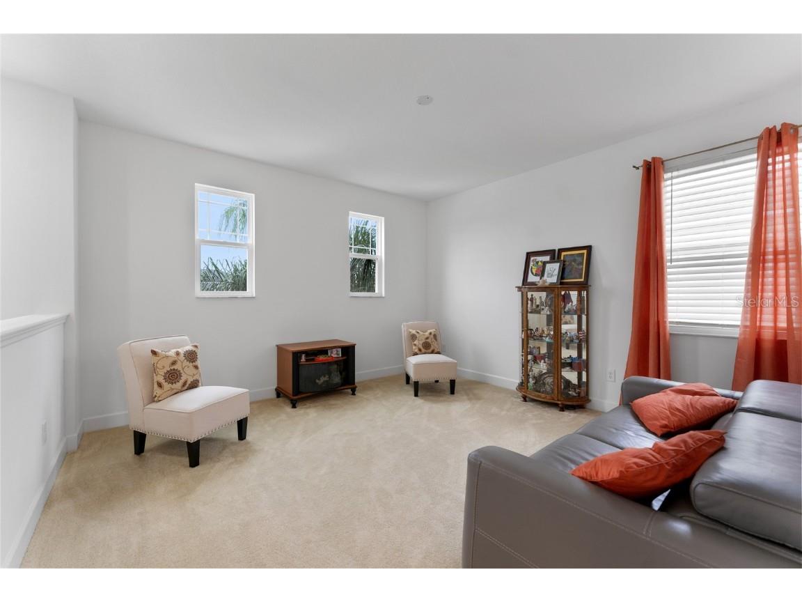 1239 Windy Bay Shoal Tarpon Springs FL 34689 TB8441239 image28