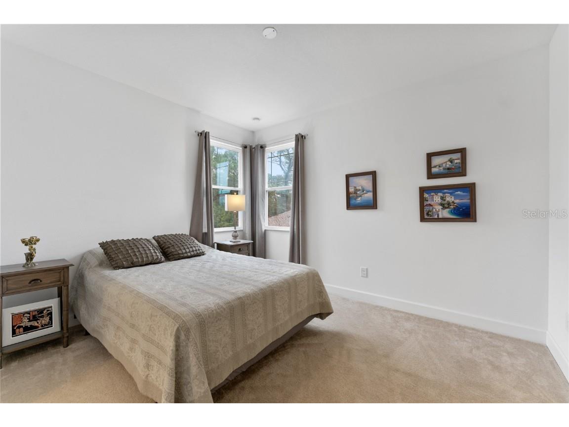 1239 Windy Bay Shoal Tarpon Springs FL 34689 TB8441239 image38