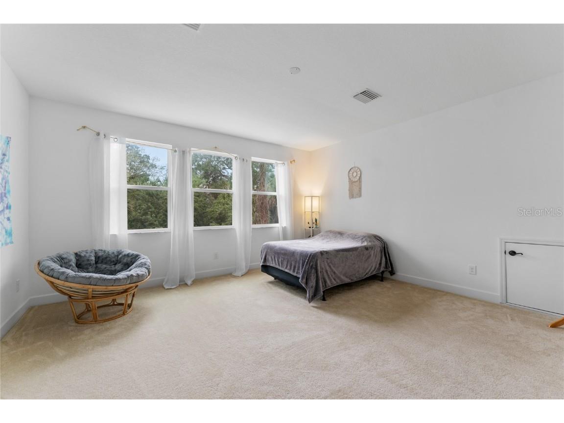 1239 Windy Bay Shoal Tarpon Springs FL 34689 TB8441239 image42