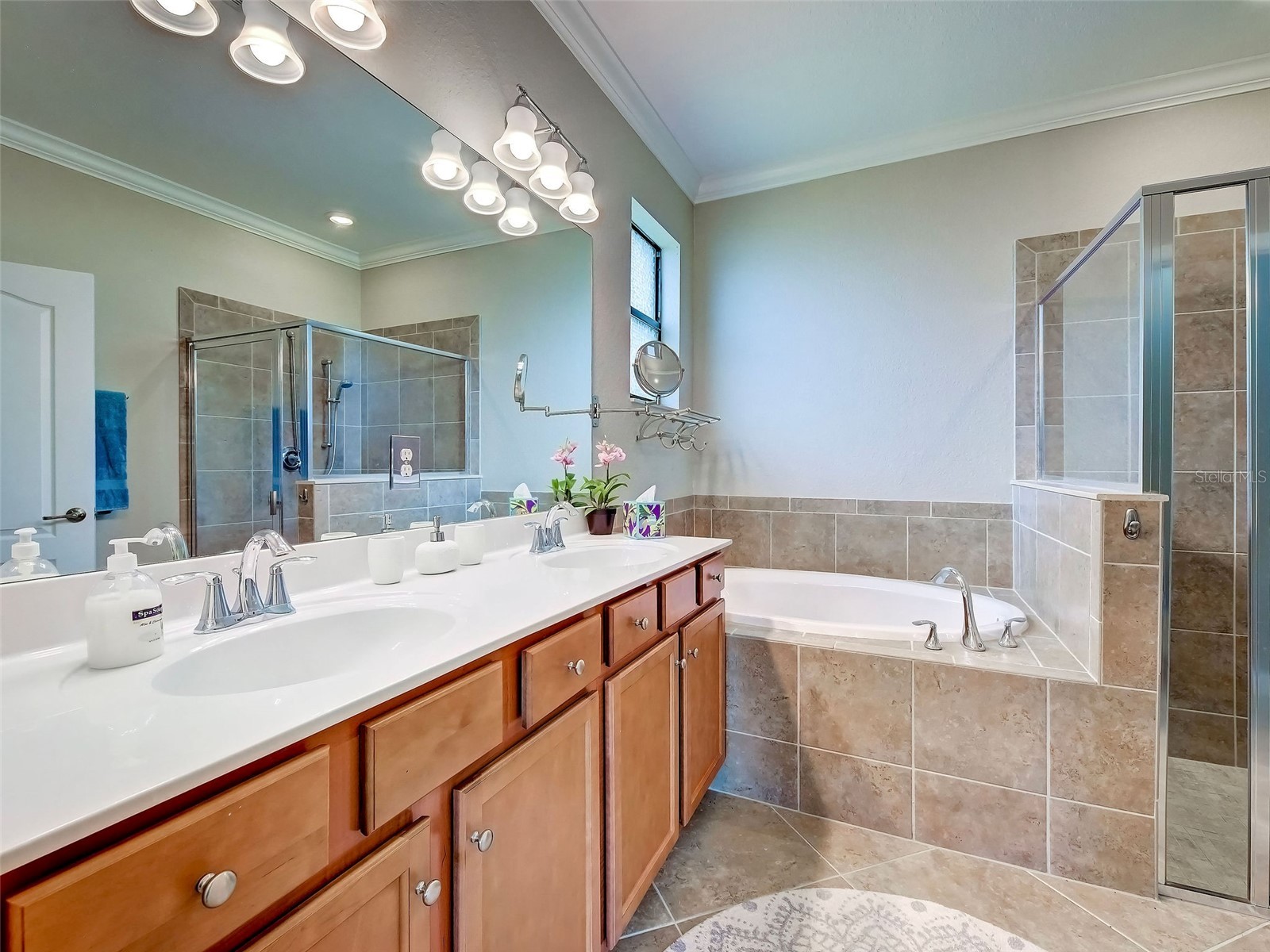 12390 Cinqueterre Drive Venice FL 34293 N6144769 image50