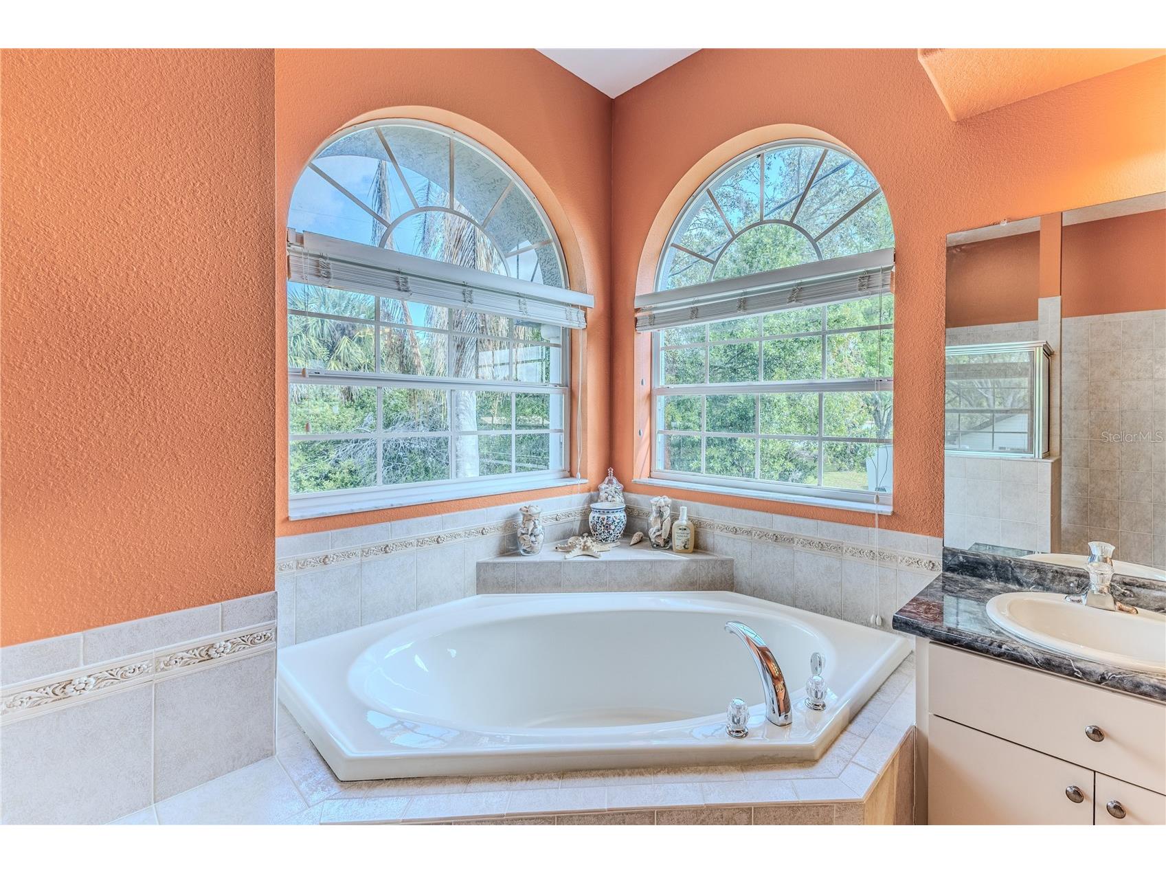 12390 Glen Haven Street Spring Hill FL 34609 W7883919 image29