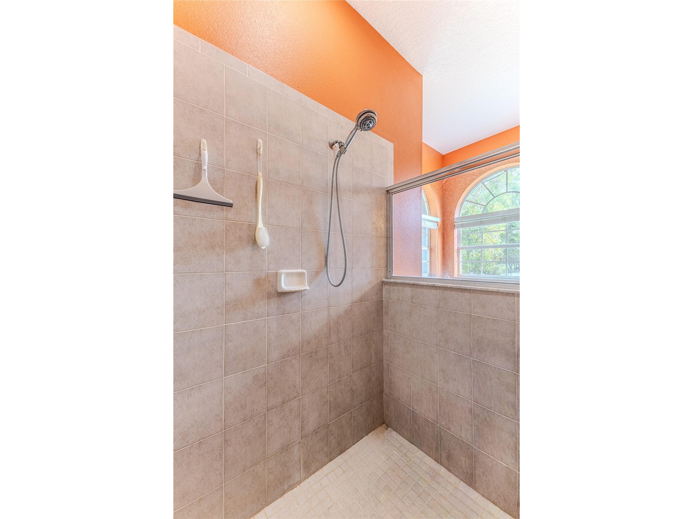 12390 Glen Haven Street Spring Hill FL 34609 W7883919 image31