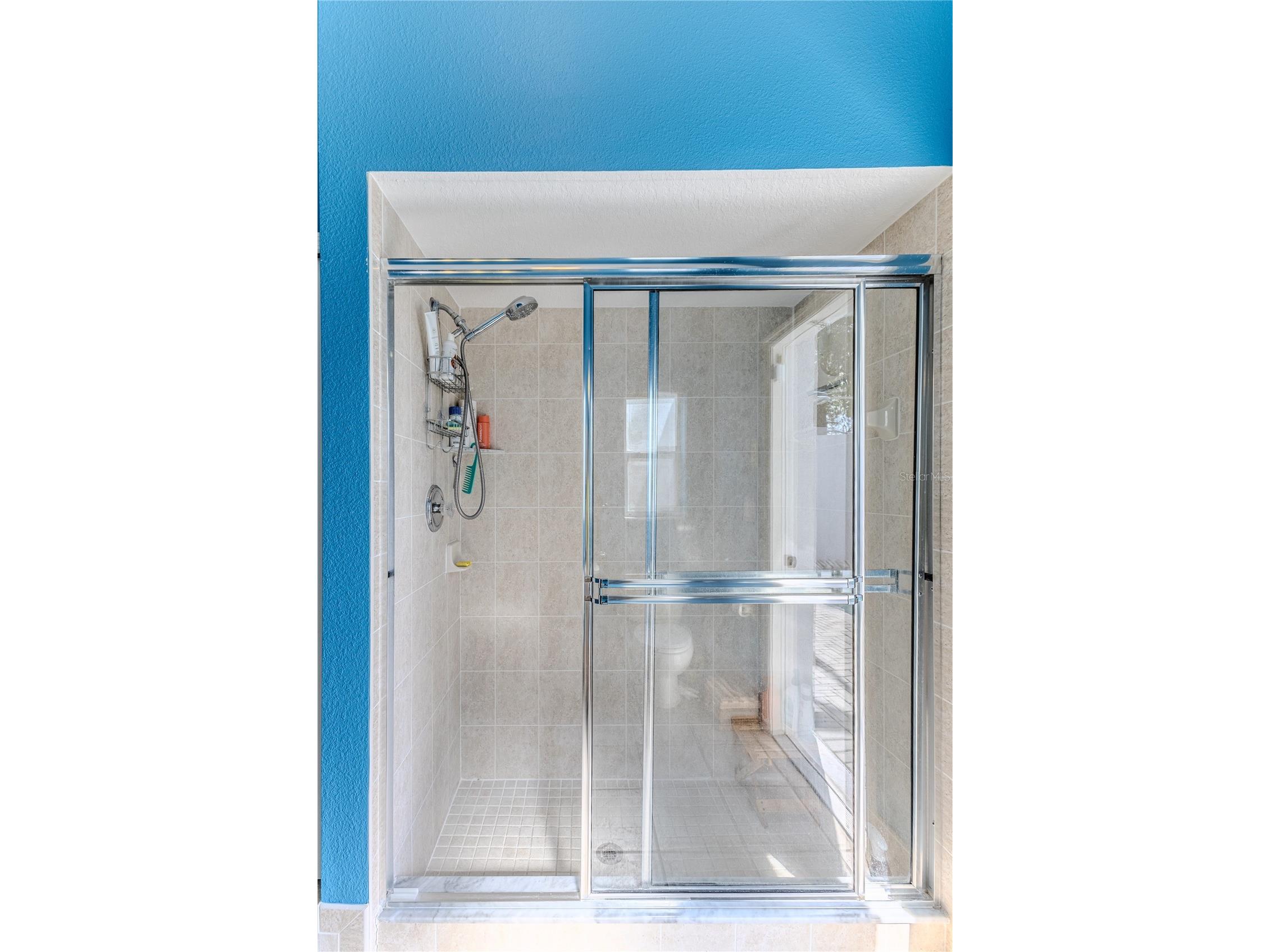 12390 Glen Haven Street Spring Hill FL 34609 W7883919 image48