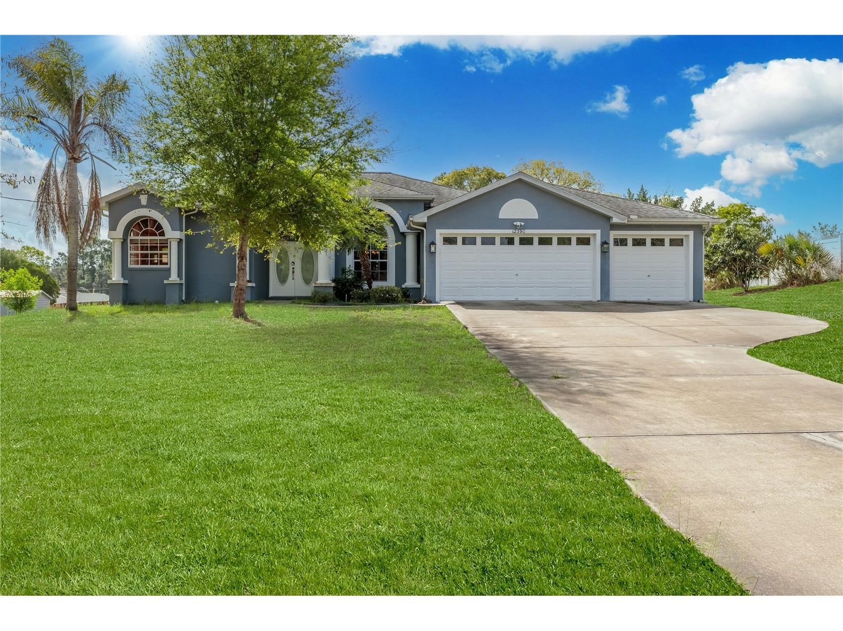 12390 Glen Haven Street Spring Hill FL 34609 W7883919 image5