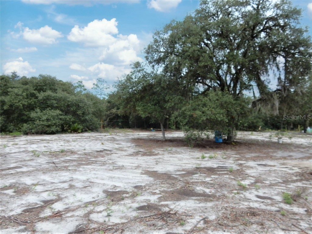 12390 NE 82nd Place Bronson FL 32621 OM645847 image1