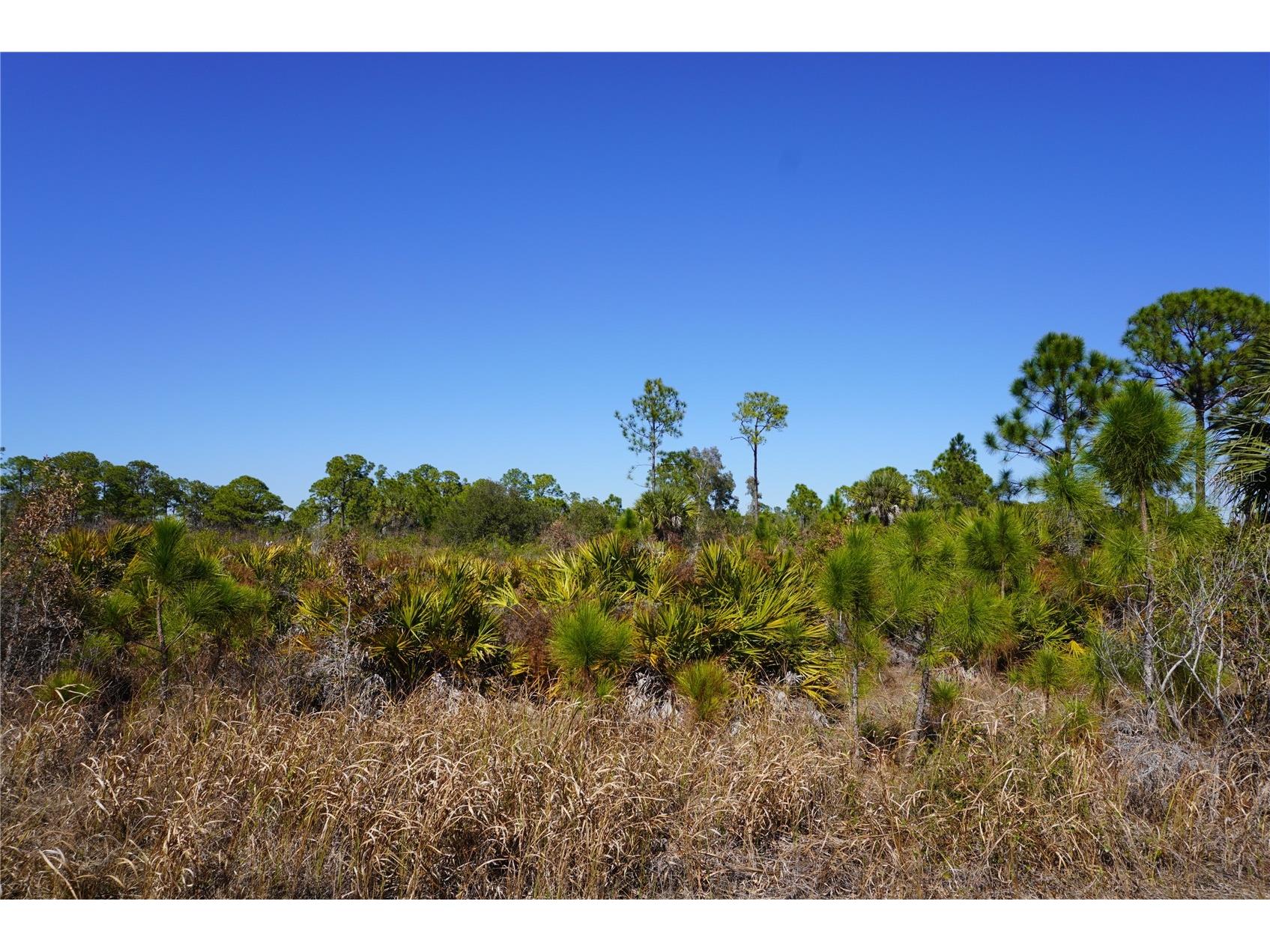 12392 Dietrich Avenue Port Charlotte FL 33953 D6146314 image2