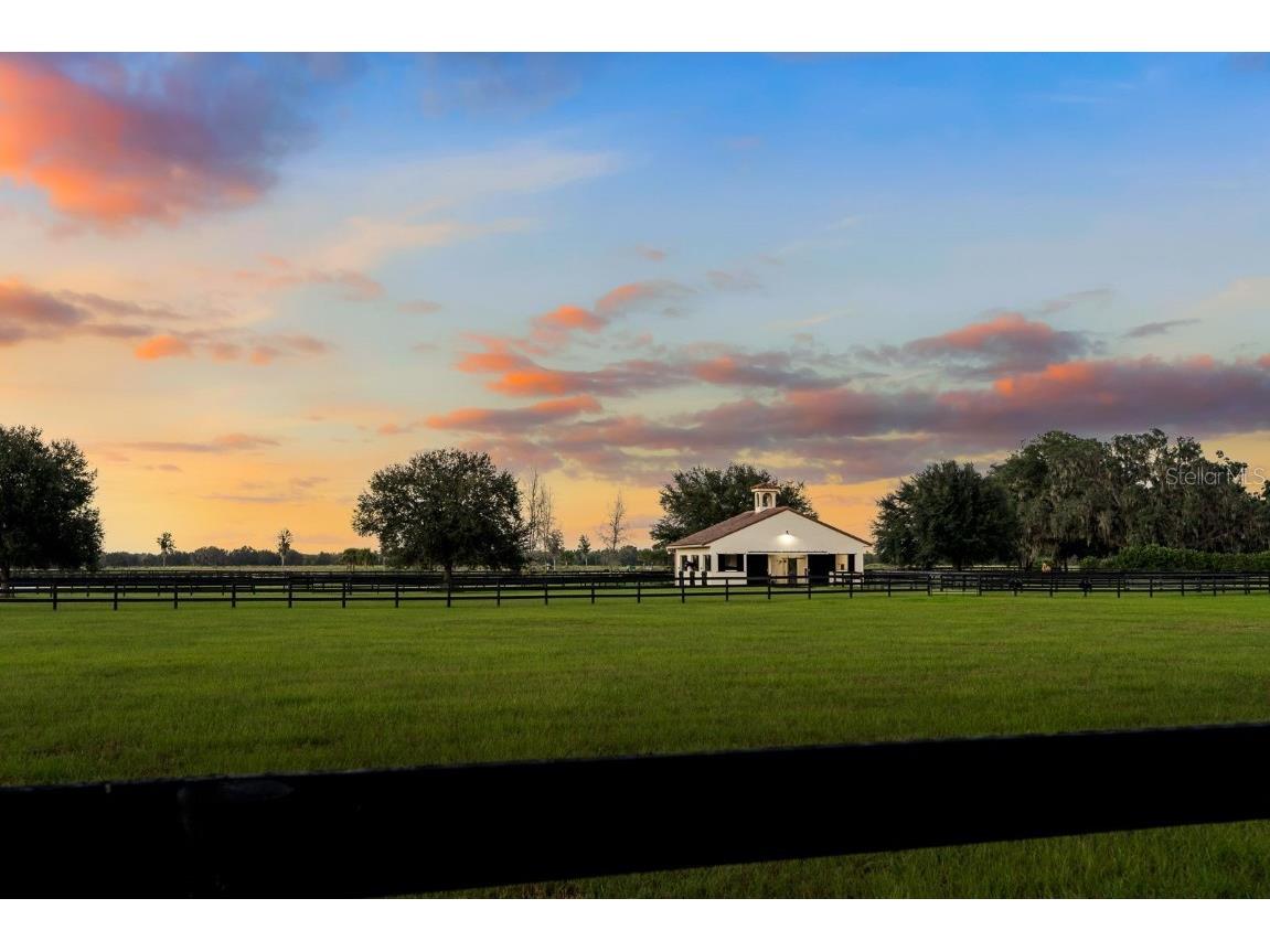 12394 SW 140th Loop Dunnellon FL 34432 OM711299 image56