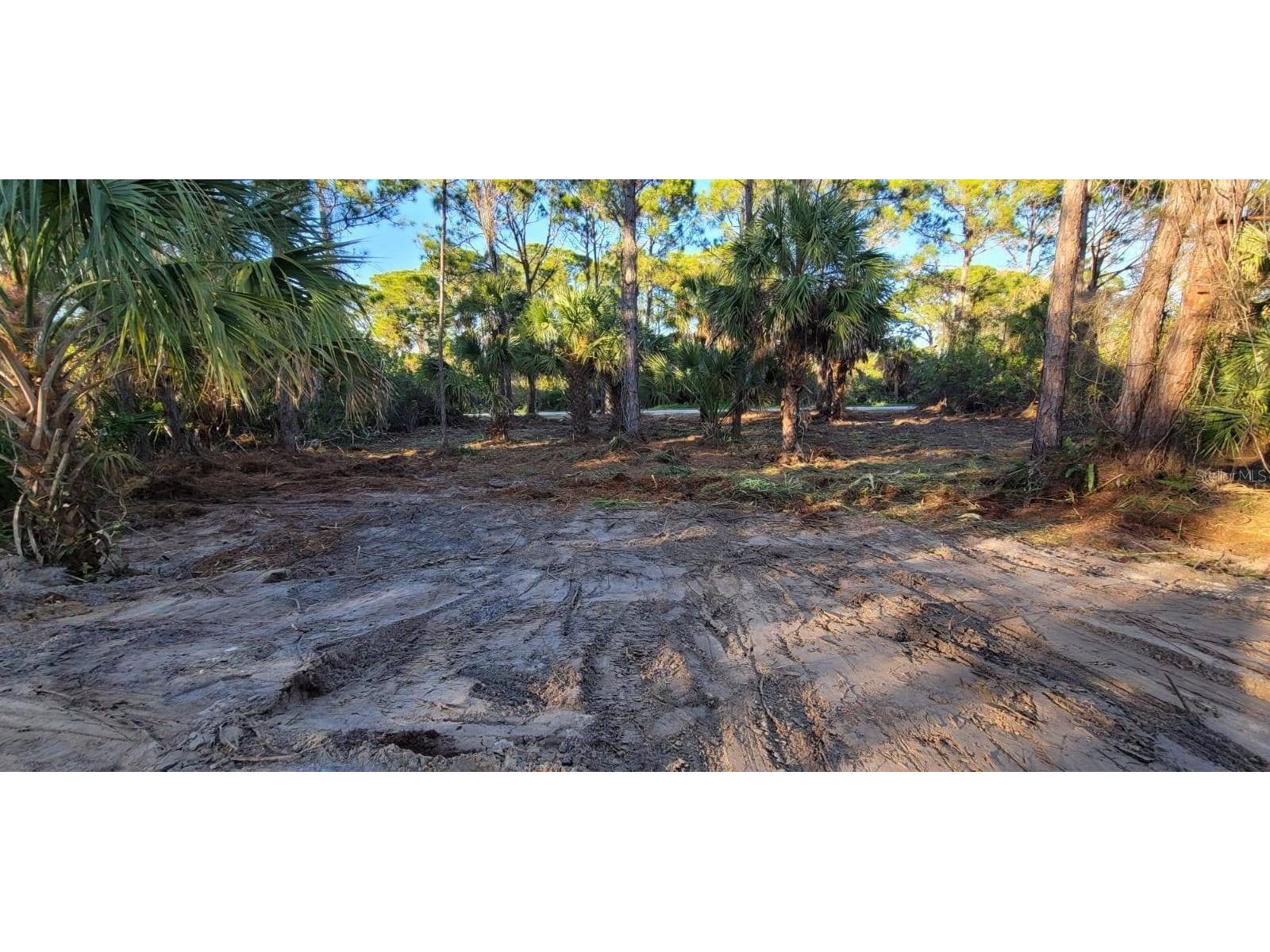 12395 Sunniland Avenue Port Charlotte FL 33981 - BUTTERFORD WATERWAY D6145807 image5