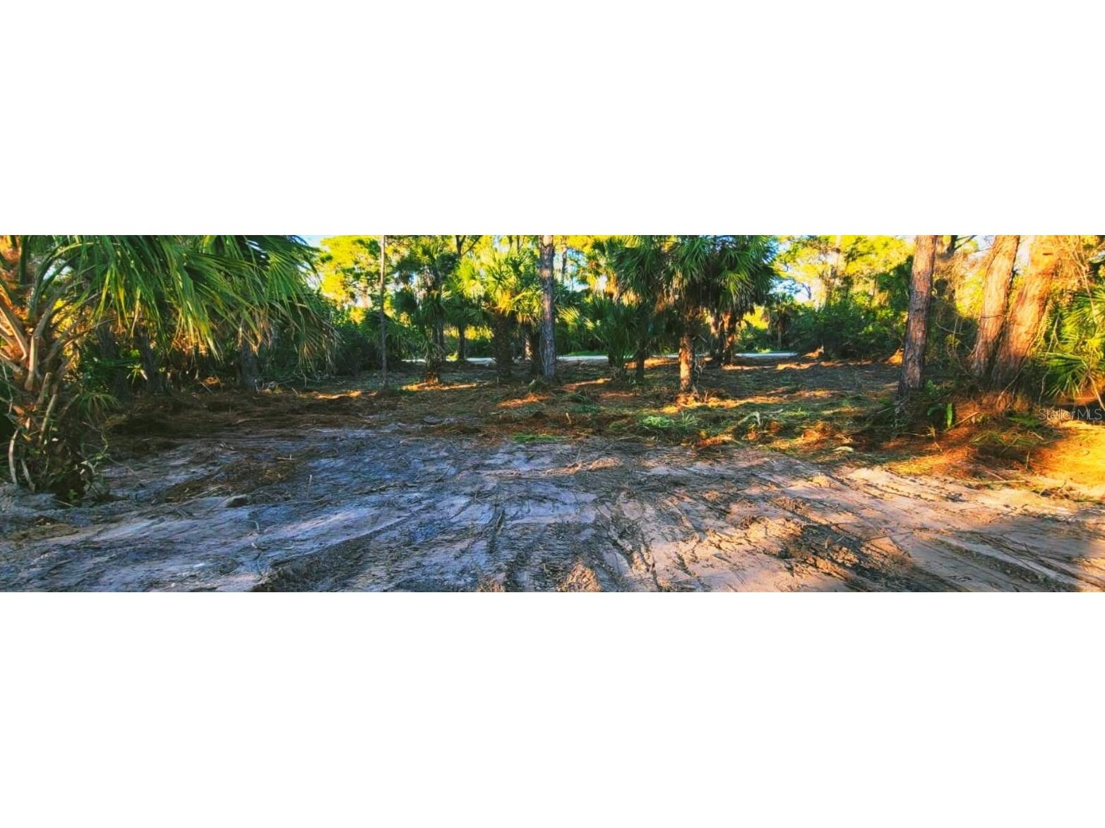 12395 Sunniland Avenue Port Charlotte FL 33981 - BUTTERFORD WATERWAY D6145807 image6