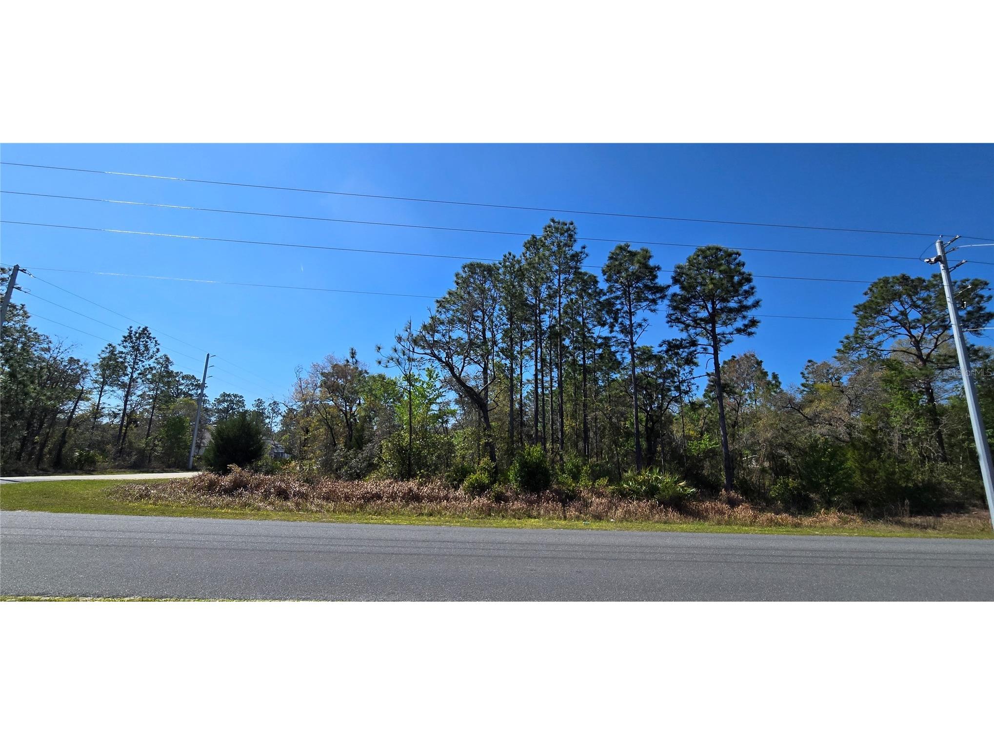 12398 Ruffed Grouse Road Weeki Wachee FL 34614 W7885005 image1