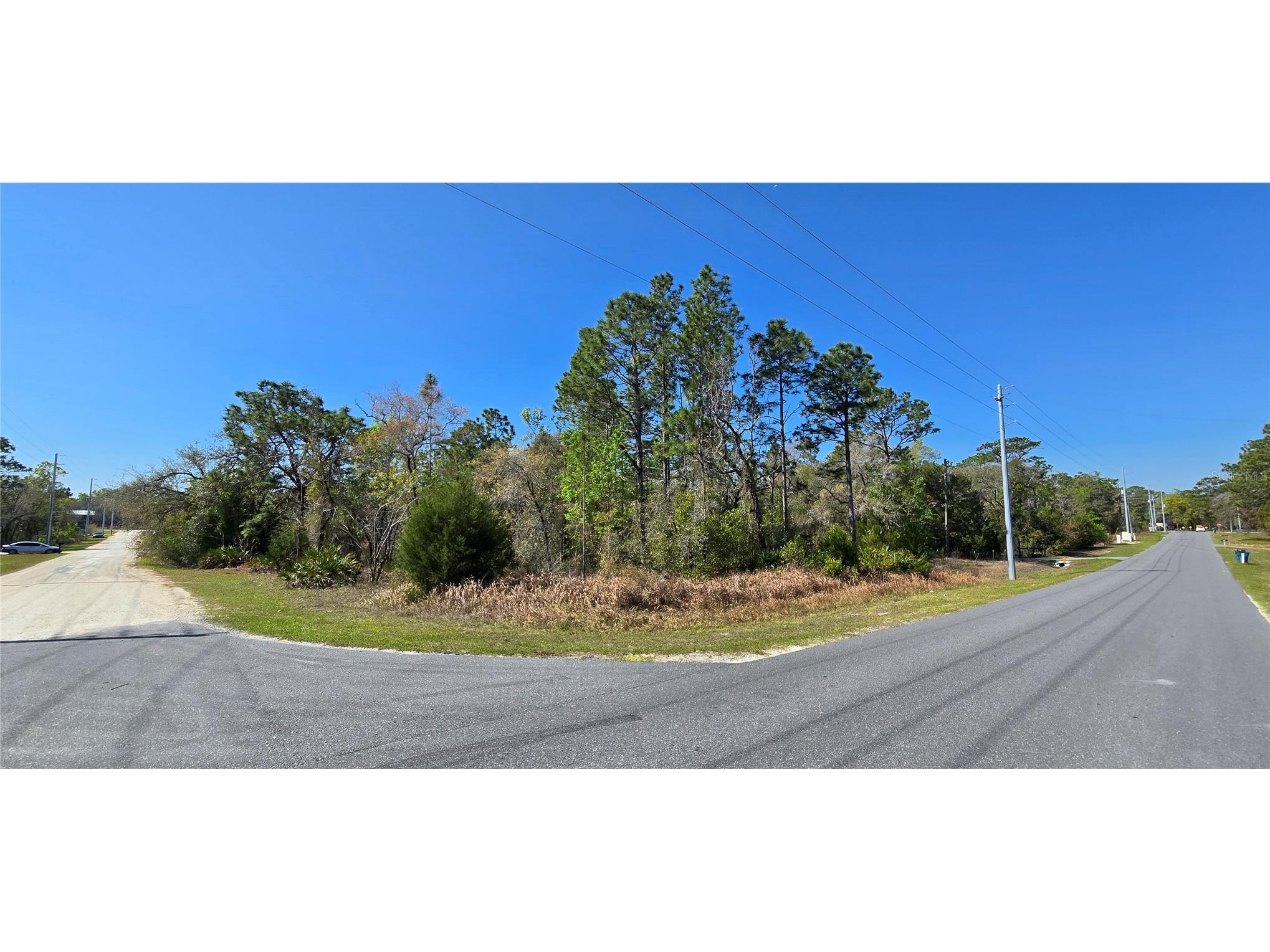 12398 Ruffed Grouse Road Weeki Wachee FL 34614 W7885005 image2