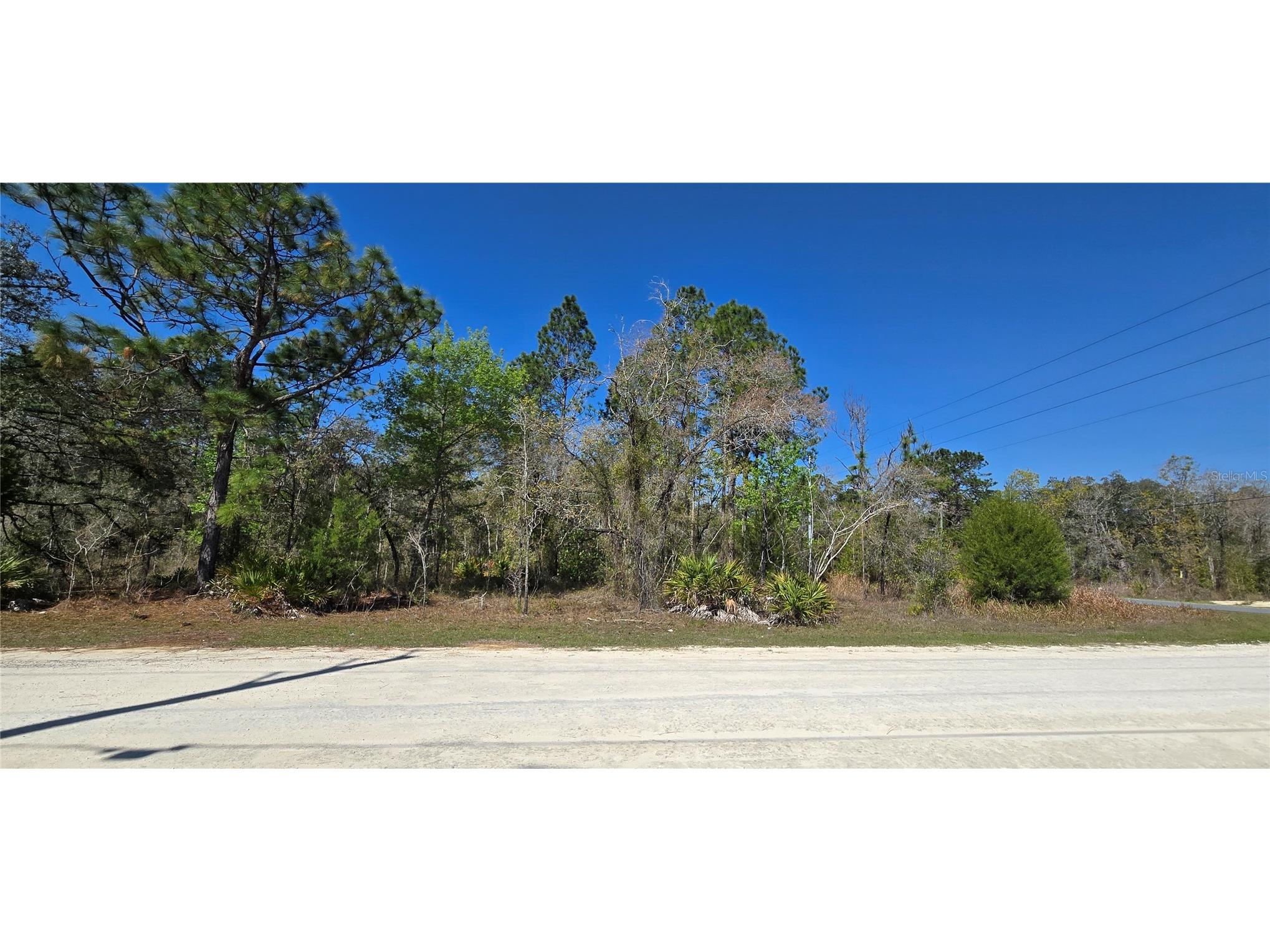 12398 Ruffed Grouse Road Weeki Wachee FL 34614 W7885005 image3