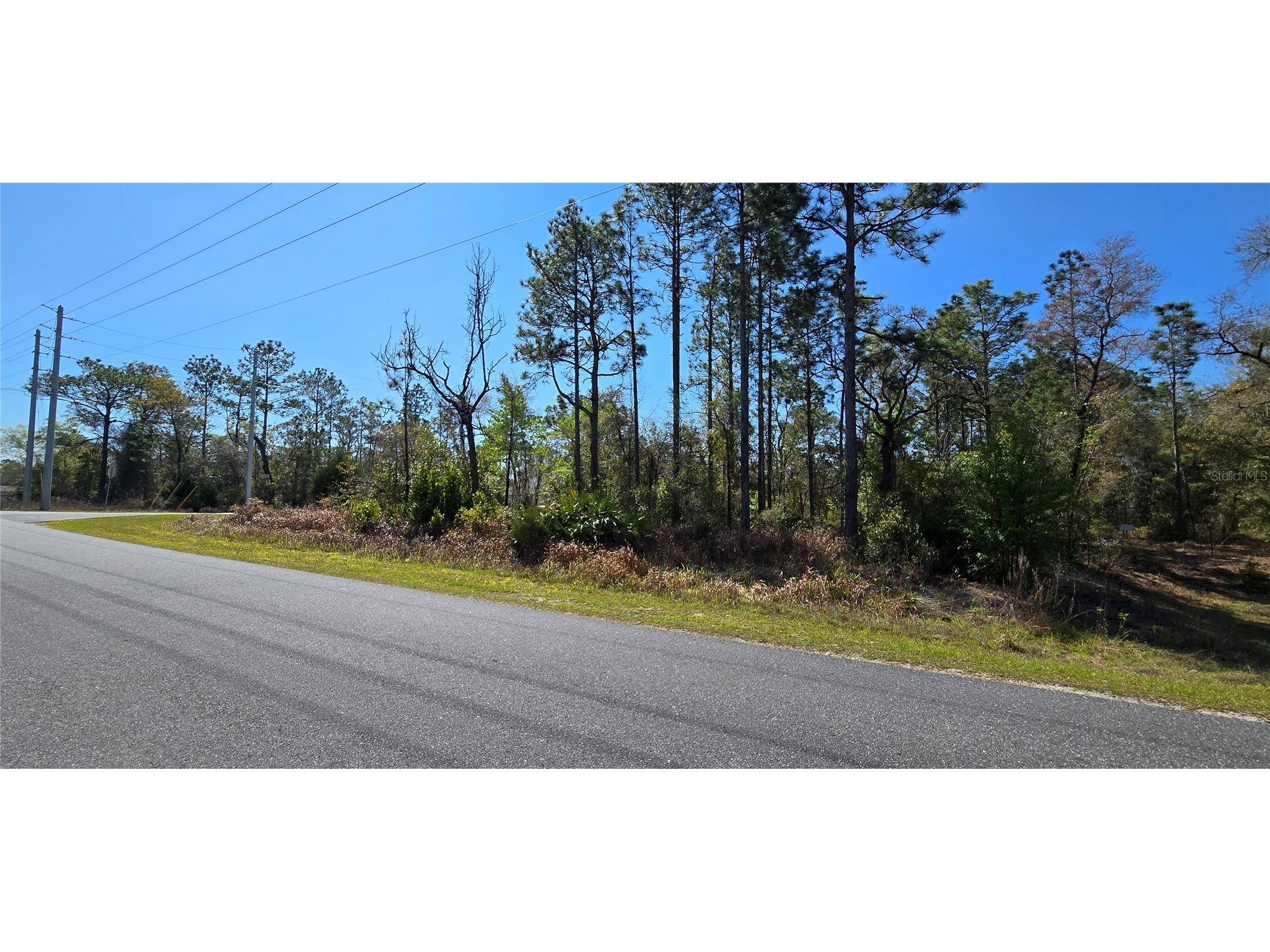 12398 Ruffed Grouse Road Weeki Wachee FL 34614 W7885005 image4