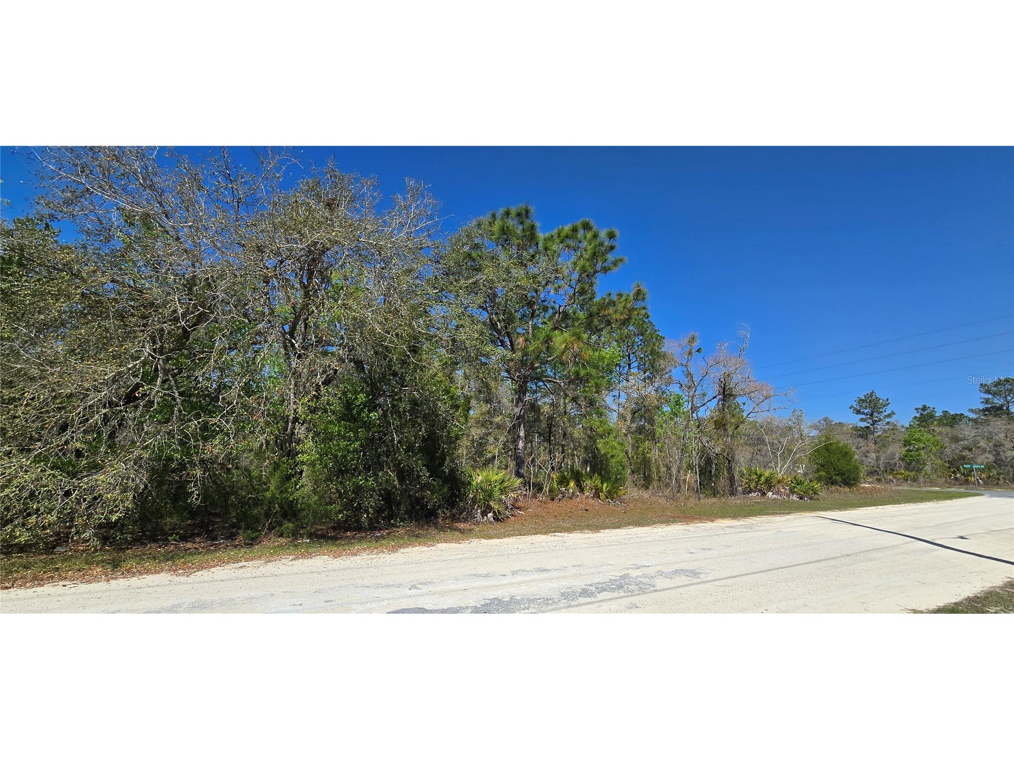 12398 Ruffed Grouse Road Weeki Wachee FL 34614 W7885005 image5