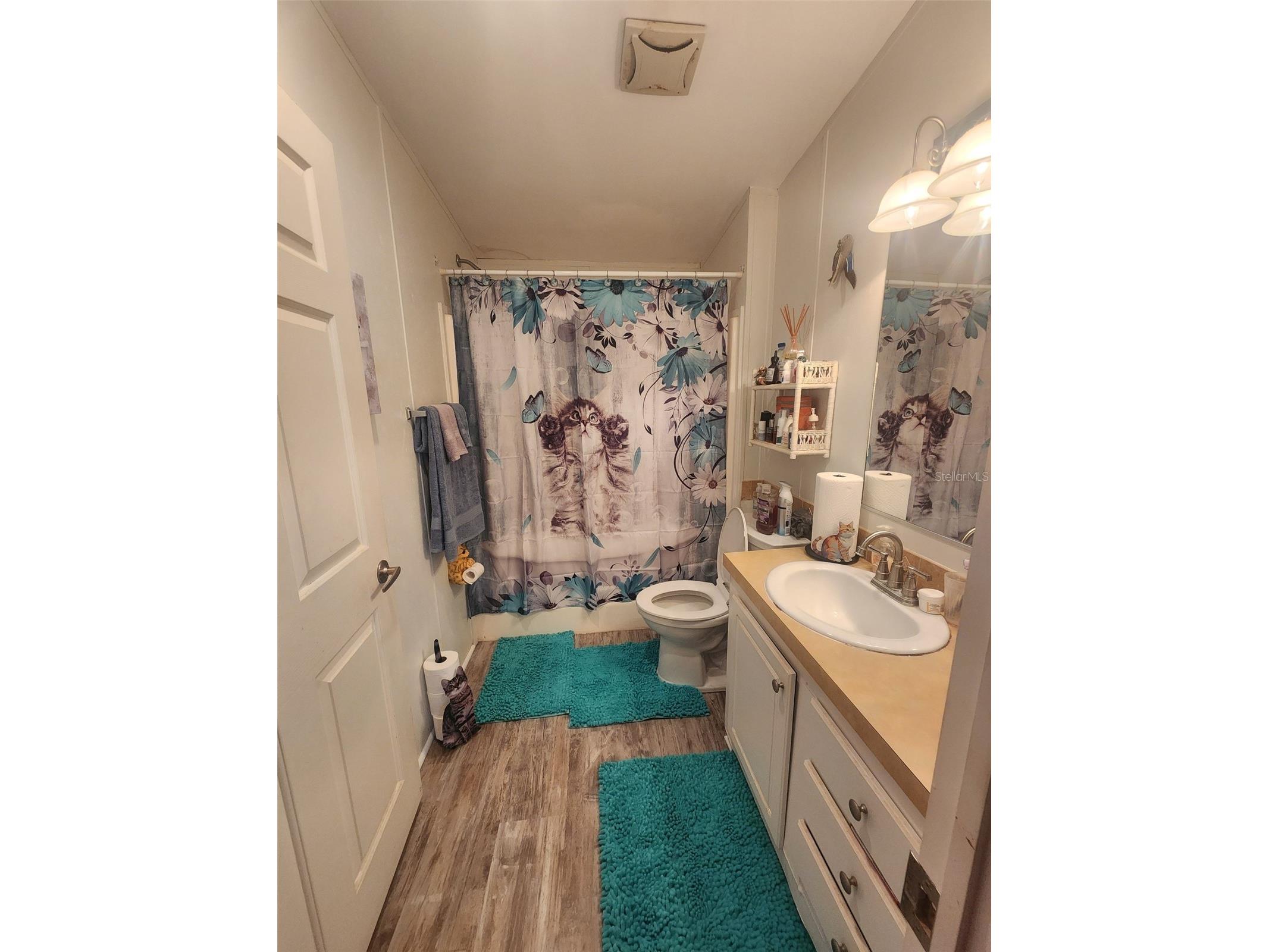 12398 SW Crenshaw Avenue Arcadia FL 34269 C7527858 image9