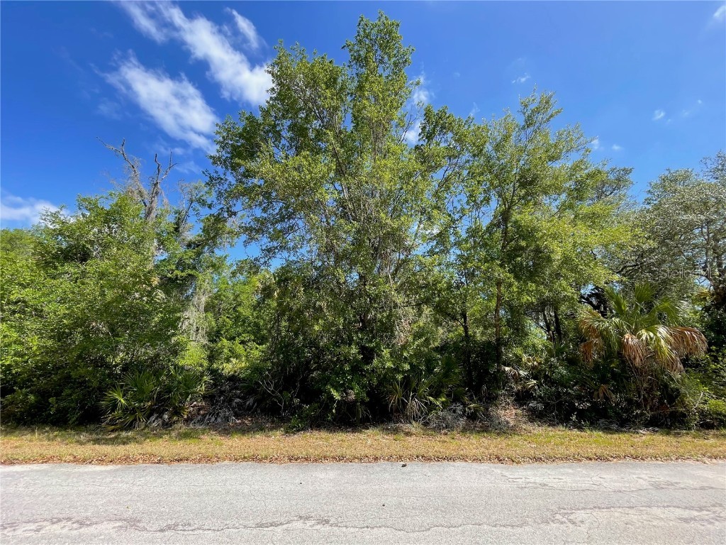 12399 W Baltic Ivy Street Crystal River FL 34428 TB8381545 image1